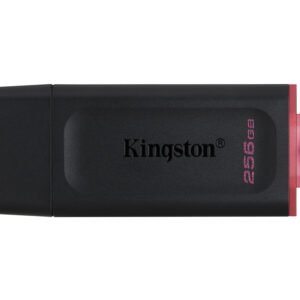 Kingston DTX/256GB