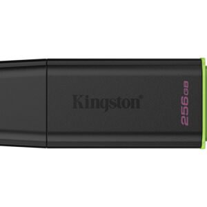 Kingston DTXG2/256GB