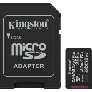 Kingston SDCS3/256GB