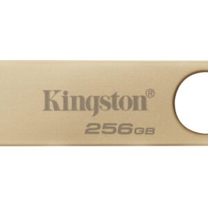 Kingston DTSE9G3/256GB